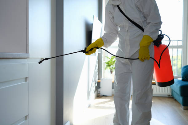 Best Residential Mold Removal  in Bowling Green, MD