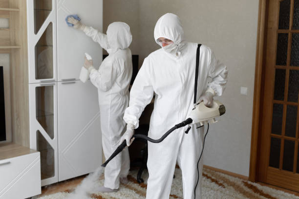 Best Residential Mold Removal  in Bowling Green, MD