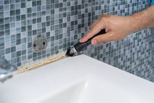 Best Commercial Mold Removal  in Bowling Green, MD