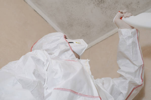 Best Mold Remediation  in Bowling Green, MD